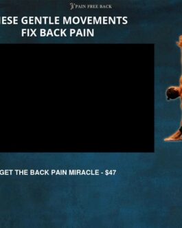 The Back Pain Miracle