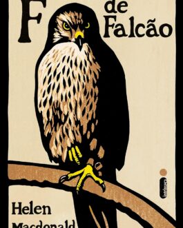 F de falcão