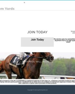 Michael Murray Racing – High Converting Racing Tipster Service