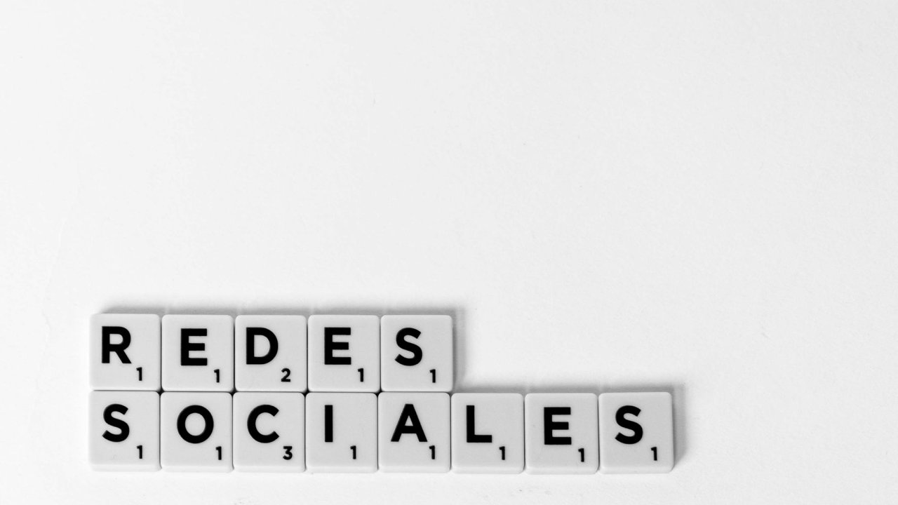 Redes Fúngicas: O Segredo Subterrâneo do Planeta Revelado