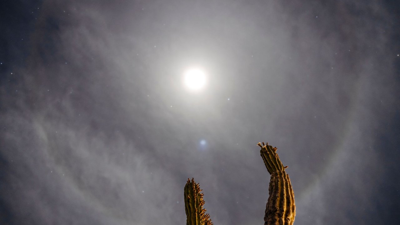 Halo: Campaign Evolved – Detalhes Visuais da Nova Remasterização