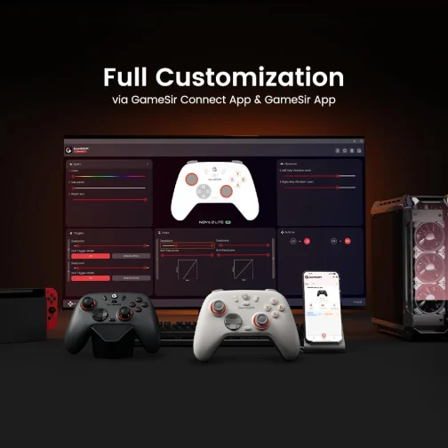 GameSir Nova 2 Lite Controle Sem Fio para PC com Hall Effect nos Analógicos e Gatilhos, 1000Hz 2.4G/Wired, Botões Programáveis – Compatível com PC, Switch, Steam, Android - Cinza Grafite - Imagem 9
