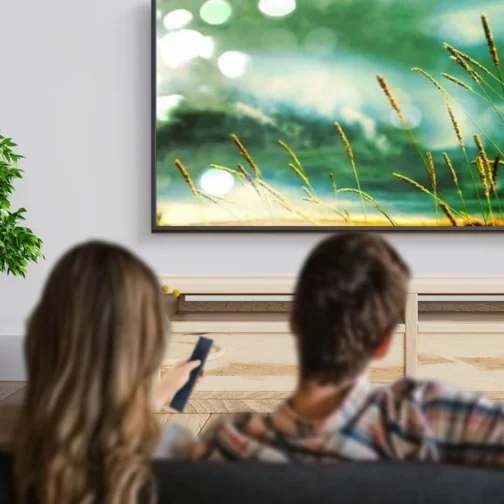 Controle remoto de voz de substituição adequado para 43 polegadas Smart TV Google TV CG43-P3 VV-CA-43G CG43-C3 - Imagem 8