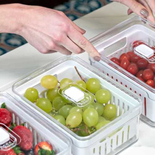 OU OF450NT Organizador de Geladeira com Escorredor Interno, 2,2 L - Caixa Plástica para Legumes, Saladas - Imagem 5